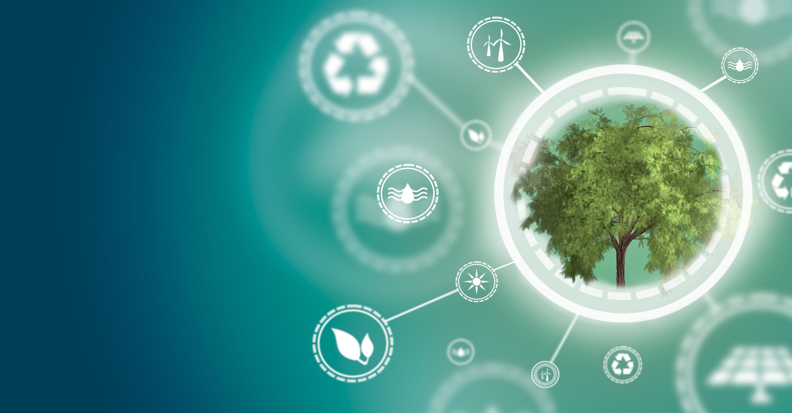 Carbon Neutrality: What Fashion Manufacturers Need to Know Feature