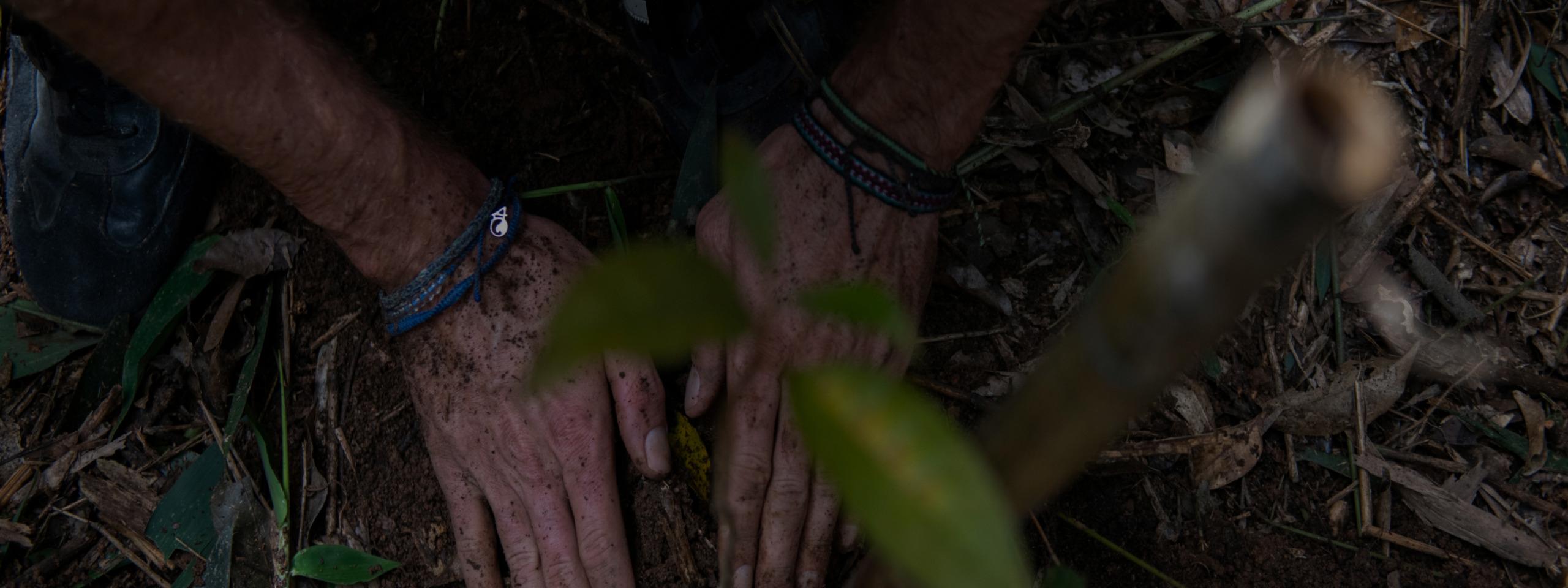 Commitment to Environmental Sustainability > About us