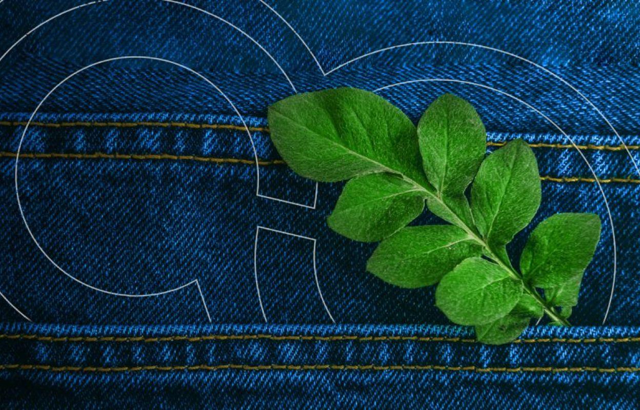 4 Essential Sustainability Trends for Fashion and Retail: Forecast #4 Featured
