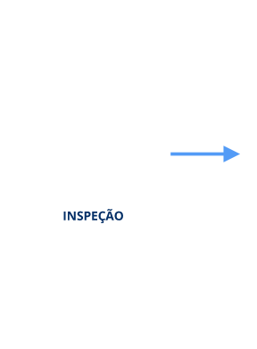 Inspeção