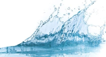 Sustainable Sips: Navigating the Future of Beverages