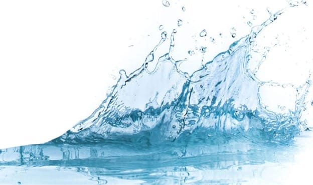 Sustainable Sips: Navigating the Future of Beverages