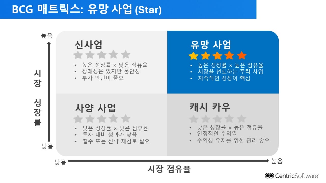 BCG 매트릭스: 유망 사업 (Star)