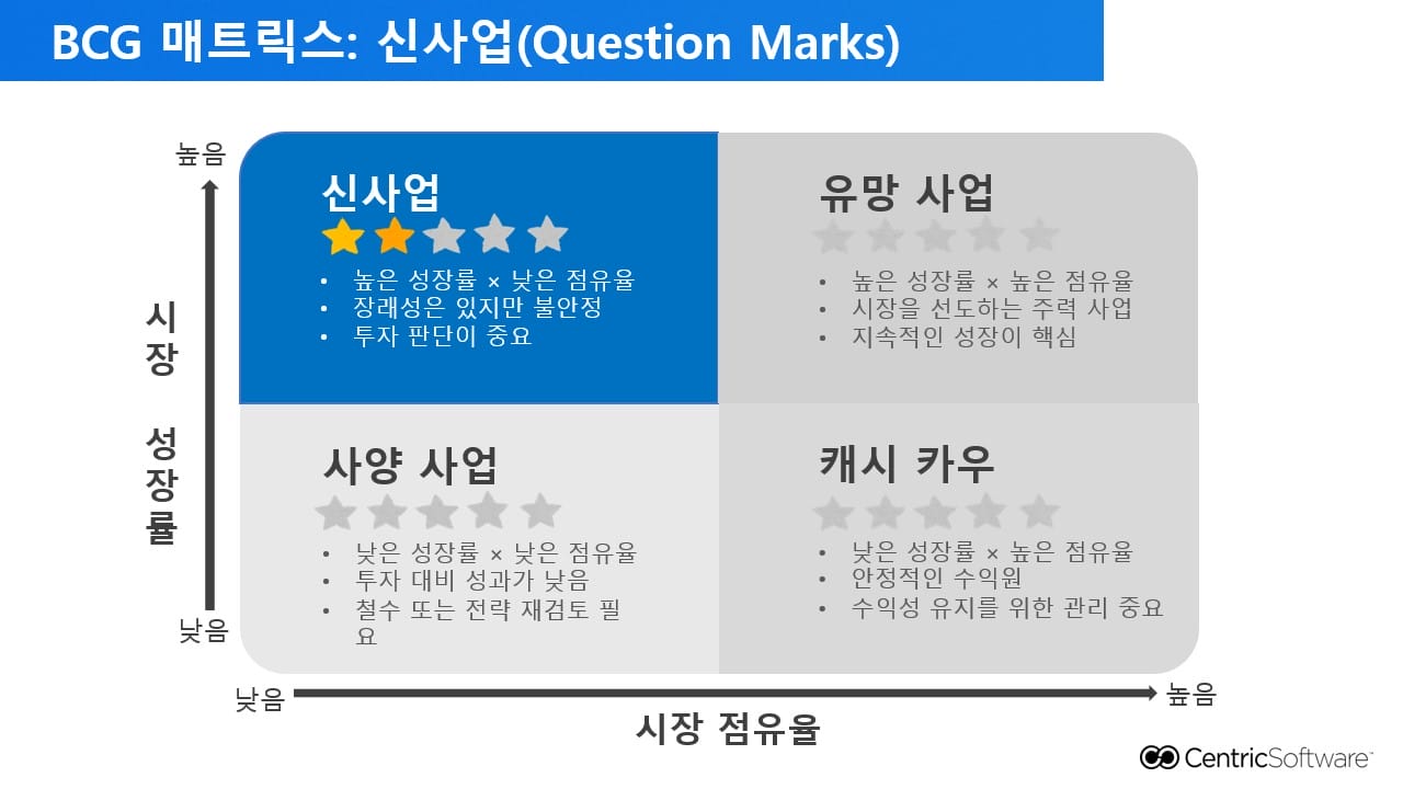 BCG 매트릭스: 신사업(Question Marks)
