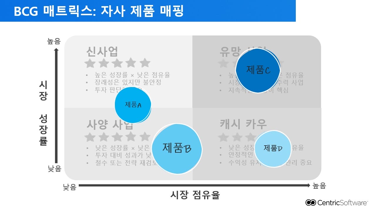 BCG 매트릭스: 자사 제품 매핑